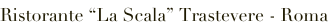 shapeimage_2_link_0