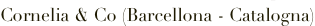 shapeimage_2_link_3