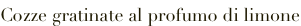 shapeimage_2_link_122