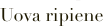 shapeimage_2_link_150